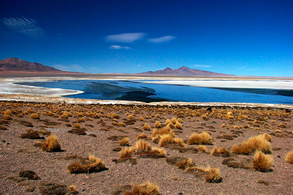 calama